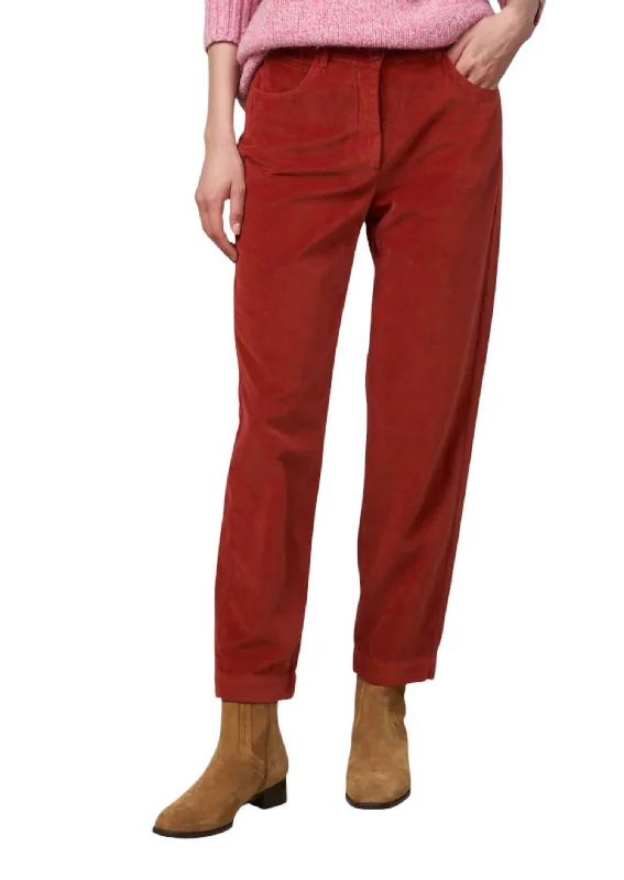 Pepite Velvet Pants In Spice